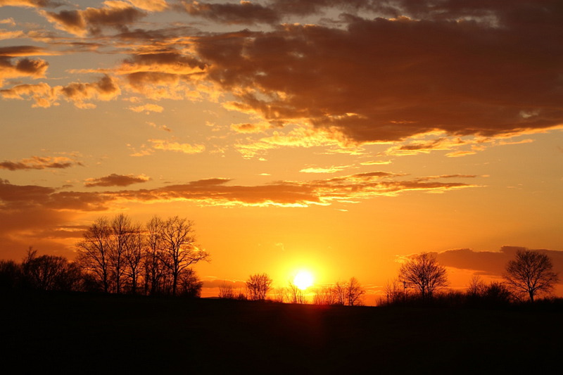 sonne.jpg